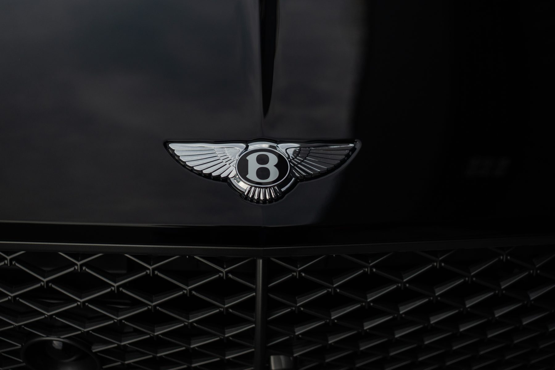 Bentley Continental GT Speed — Beluga (47)