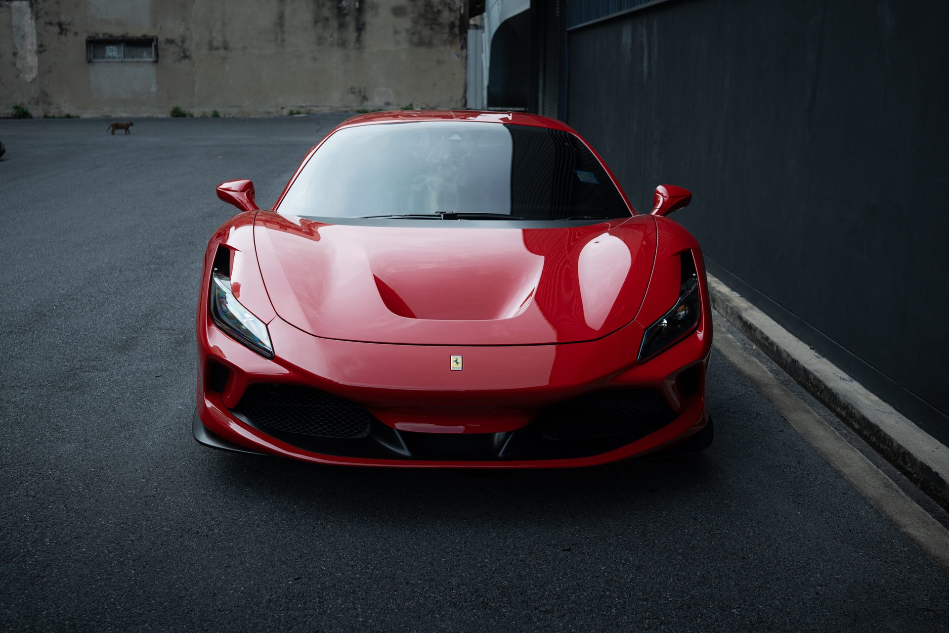 Ferrari F8 Tributo — front