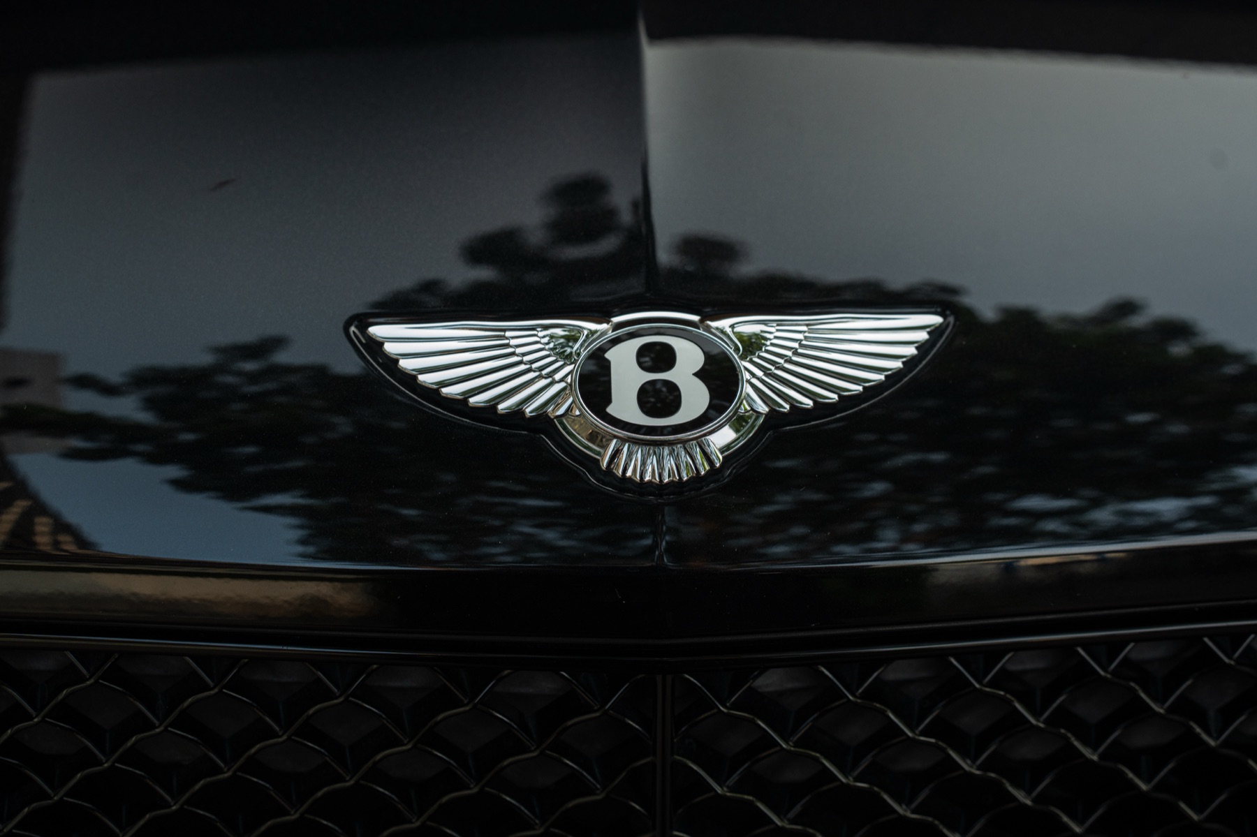 Bentley B winged badge